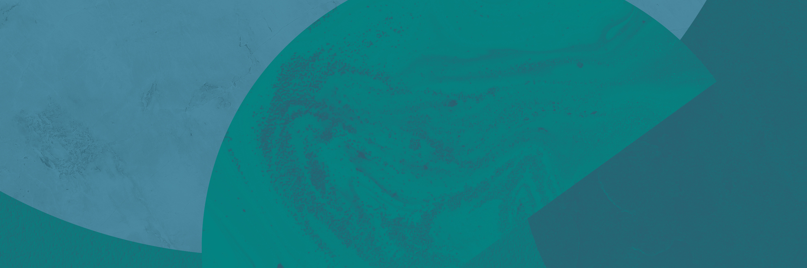 Professional Development Courses Full Circle